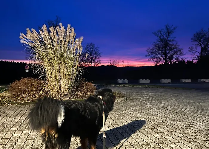 Astrid's Pensionat Winterberg